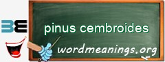WordMeaning blackboard for pinus cembroides
